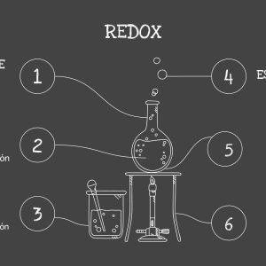 Curso de Redox para selectividad